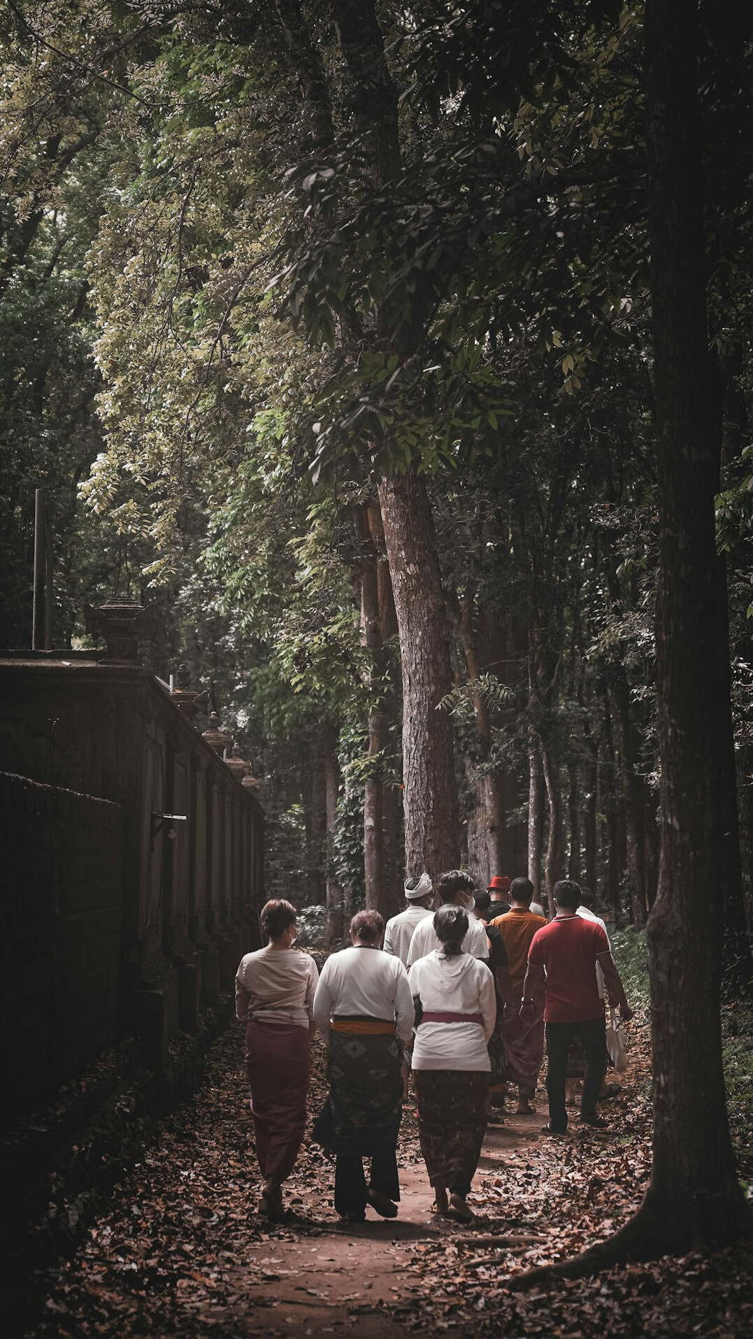 group of seniors walking