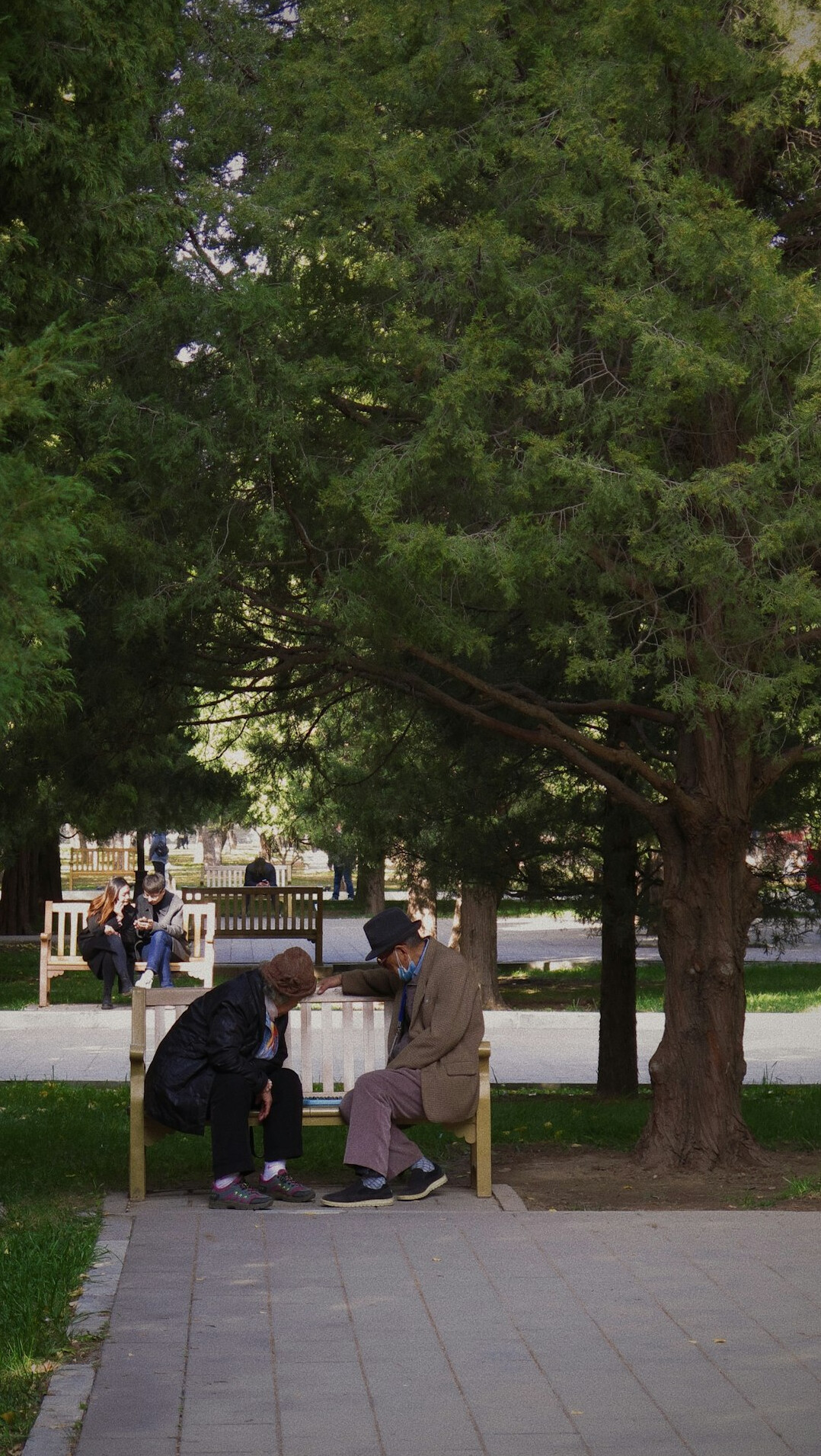 Japanese seniors practicing gentle yoga and stretching in a park